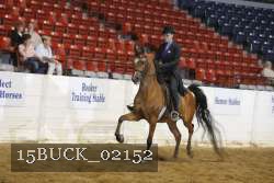 15BUCK_02152 proof