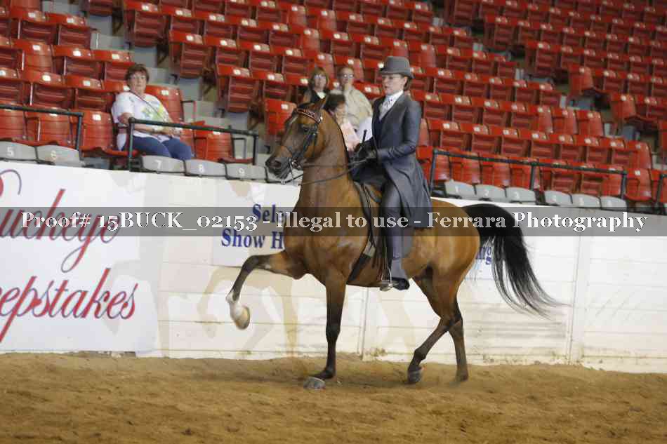 Proof 15BUCK_02153
