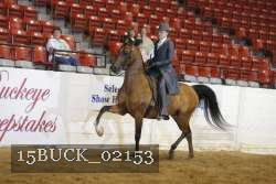 15BUCK_02153 proof