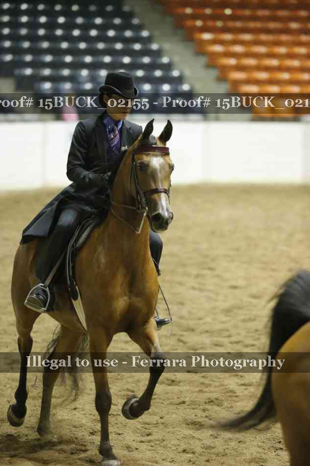 Proof 15BUCK_02155