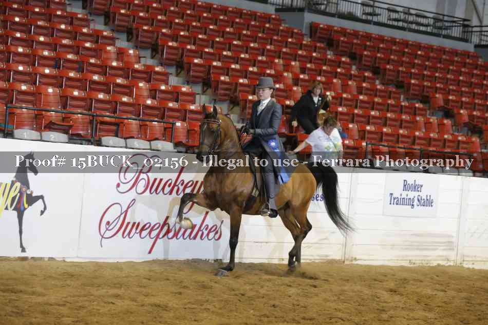 Proof 15BUCK_02156