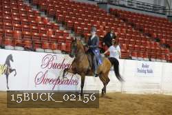 15BUCK_02156 proof