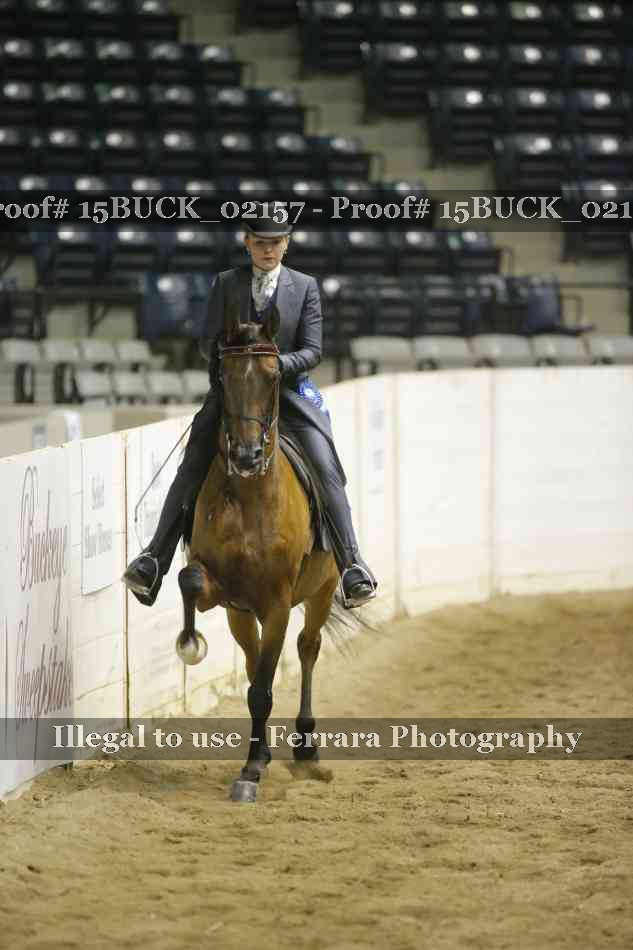 Proof 15BUCK_02157