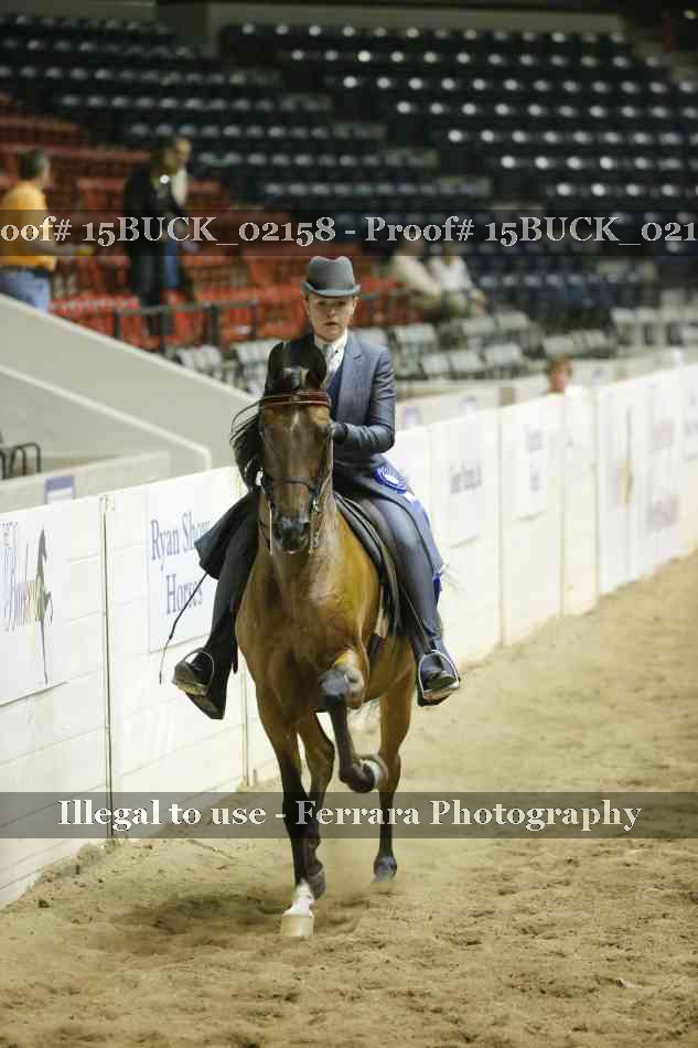 Proof 15BUCK_02158