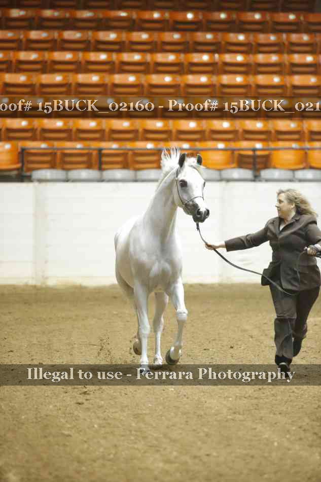 Proof 15BUCK_02160