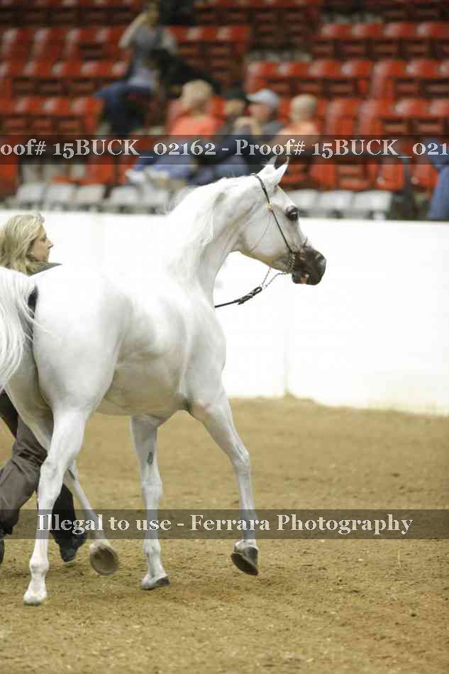 Proof 15BUCK_02162