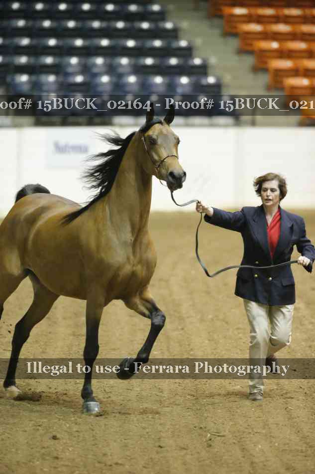 Proof 15BUCK_02164