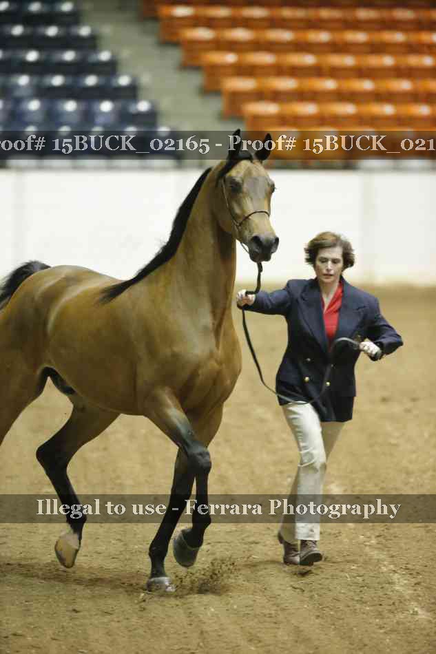 Proof 15BUCK_02165