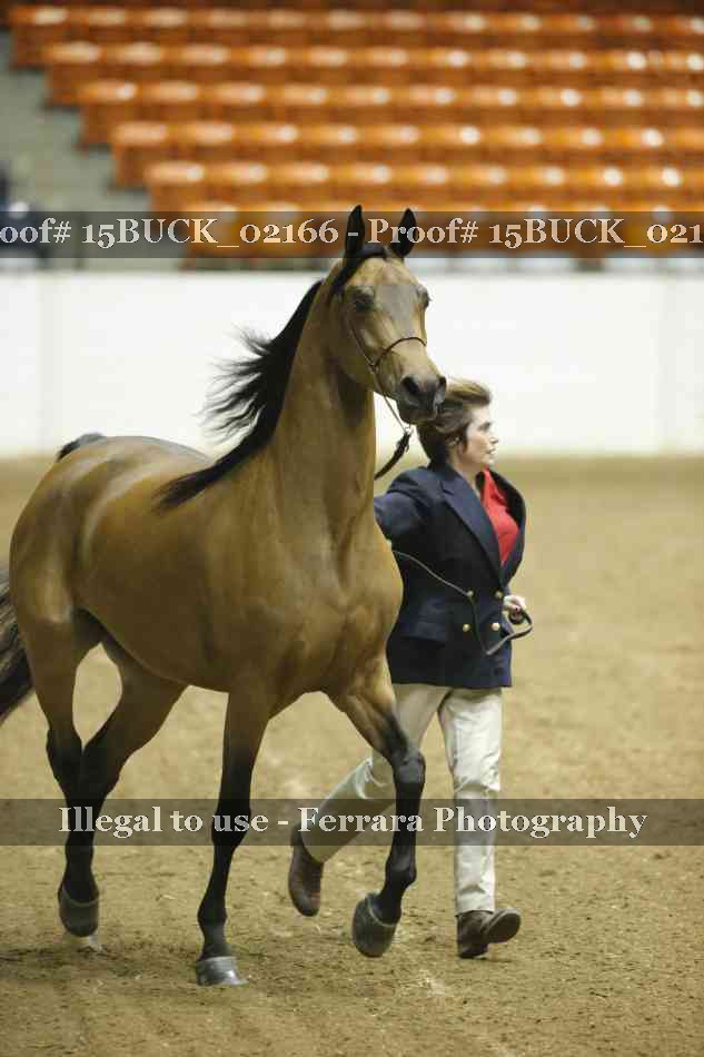 Proof 15BUCK_02166