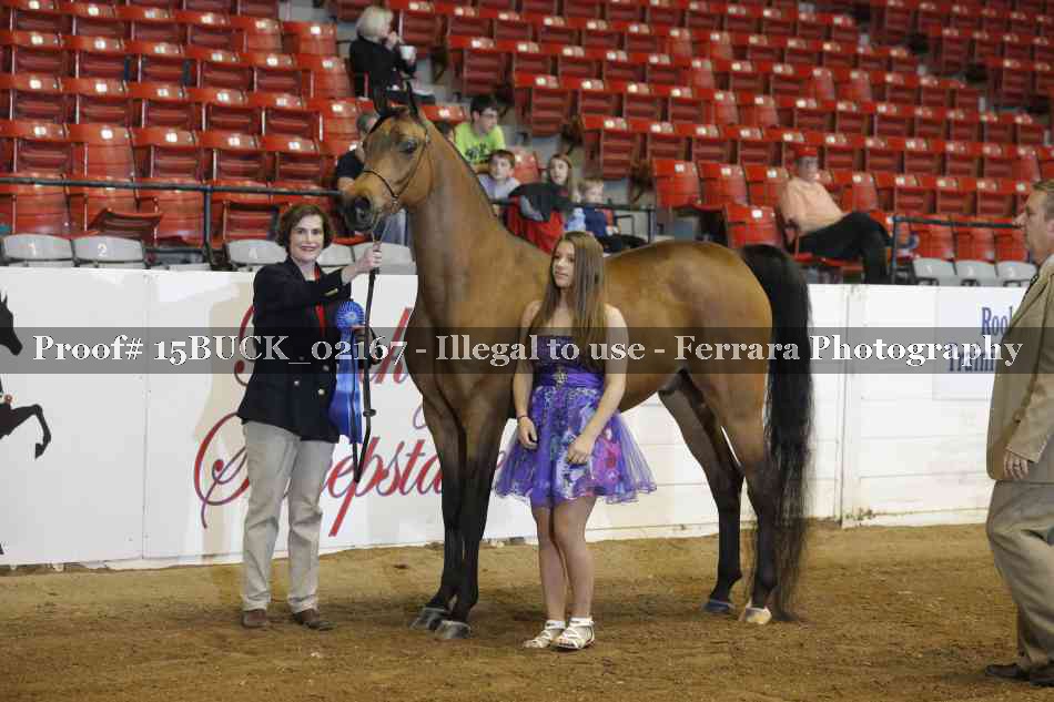 Proof 15BUCK_02167
