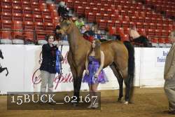 15BUCK_02167 proof