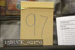 15BUCK_02170 proof