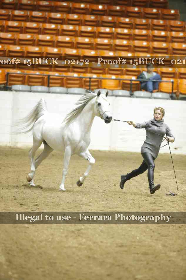 Proof 15BUCK_02172