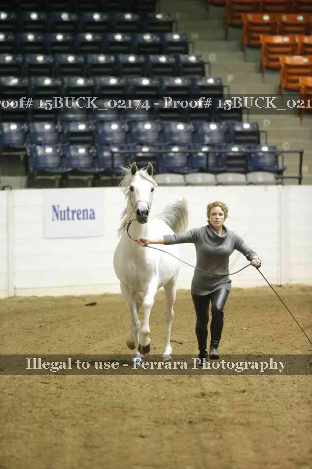 Proof 15BUCK_02174