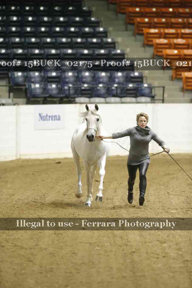 Proof 15BUCK_02175