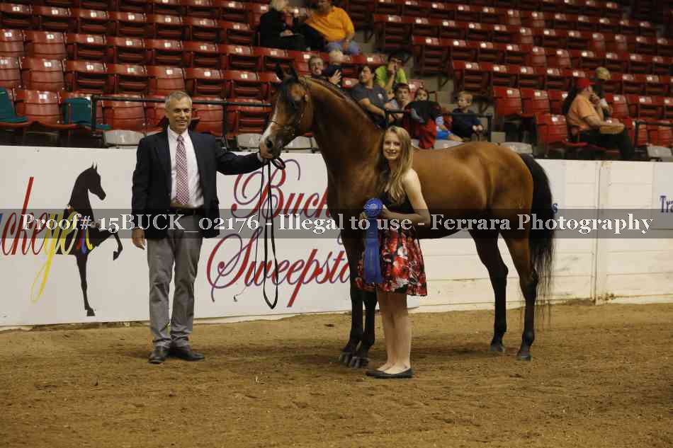 Proof 15BUCK_02176