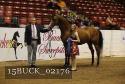 15BUCK_02176 proof