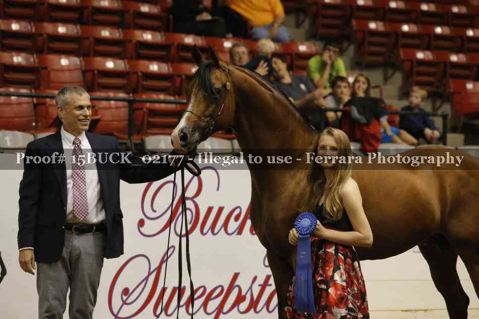 Proof 15BUCK_02177