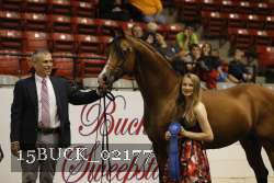 15BUCK_02177 proof