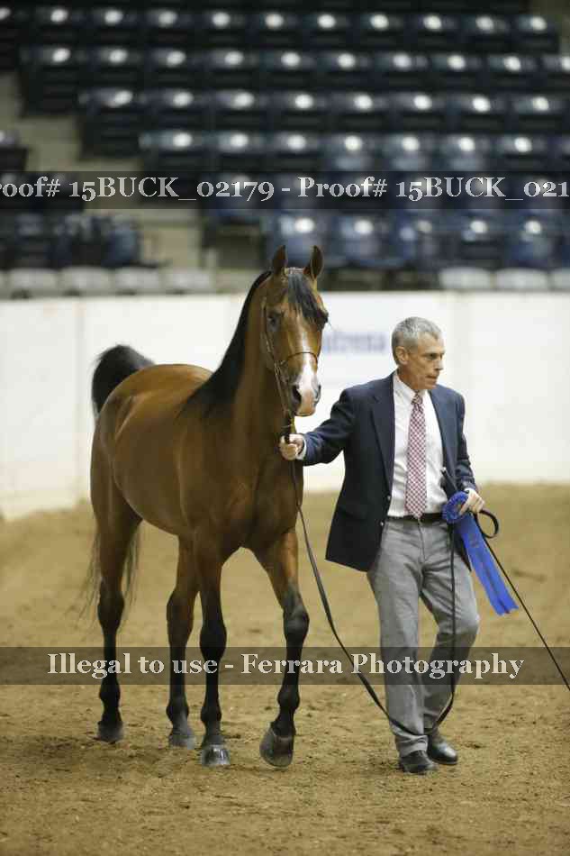 Proof 15BUCK_02179
