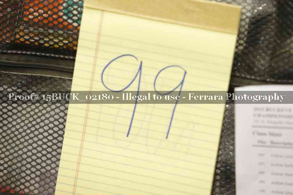 Proof 15BUCK_02180