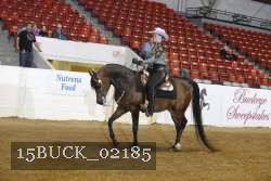 15BUCK_02185 proof