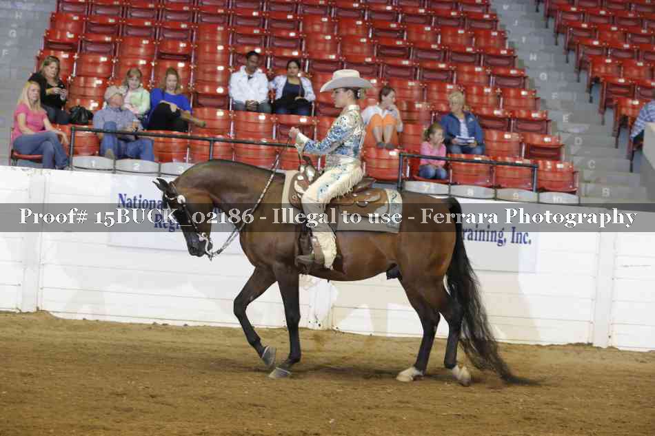 Proof 15BUCK_02186