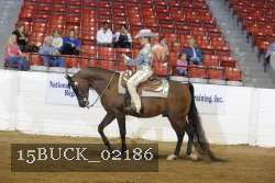 15BUCK_02186 proof