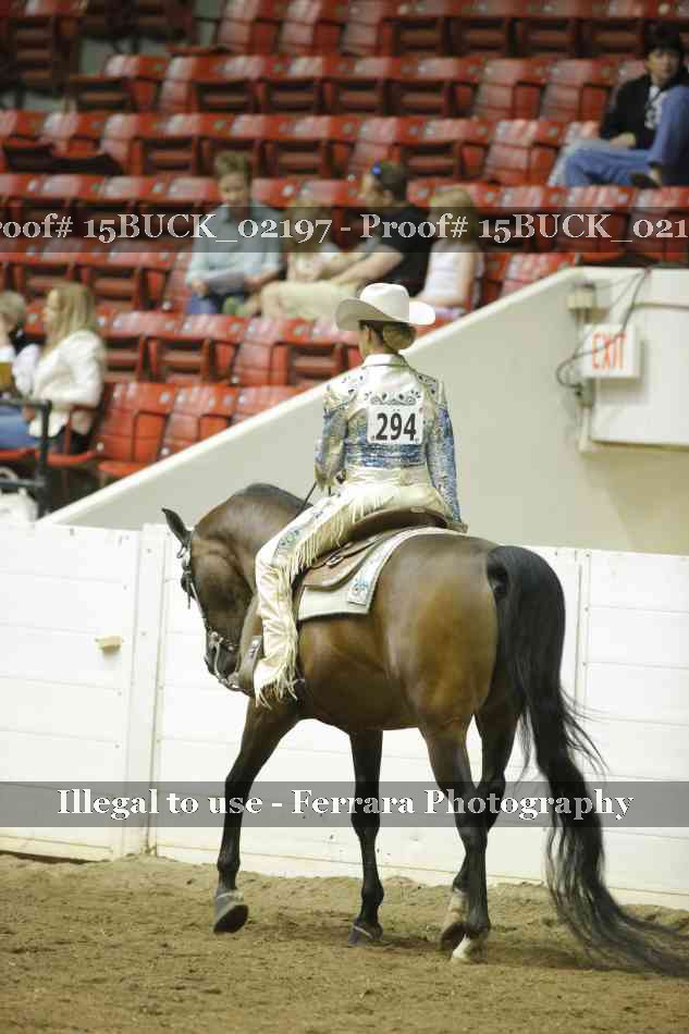 Proof 15BUCK_02197