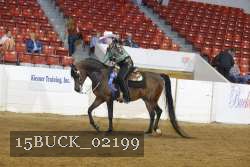 15BUCK_02199 proof