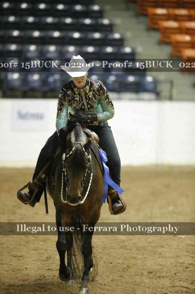 Proof 15BUCK_02200