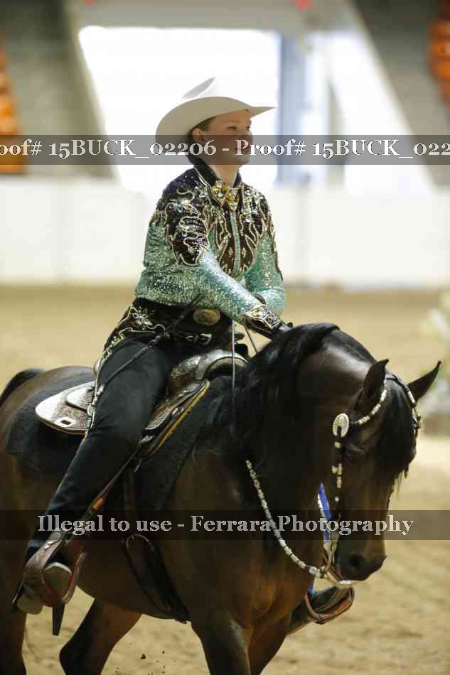 Proof 15BUCK_02206