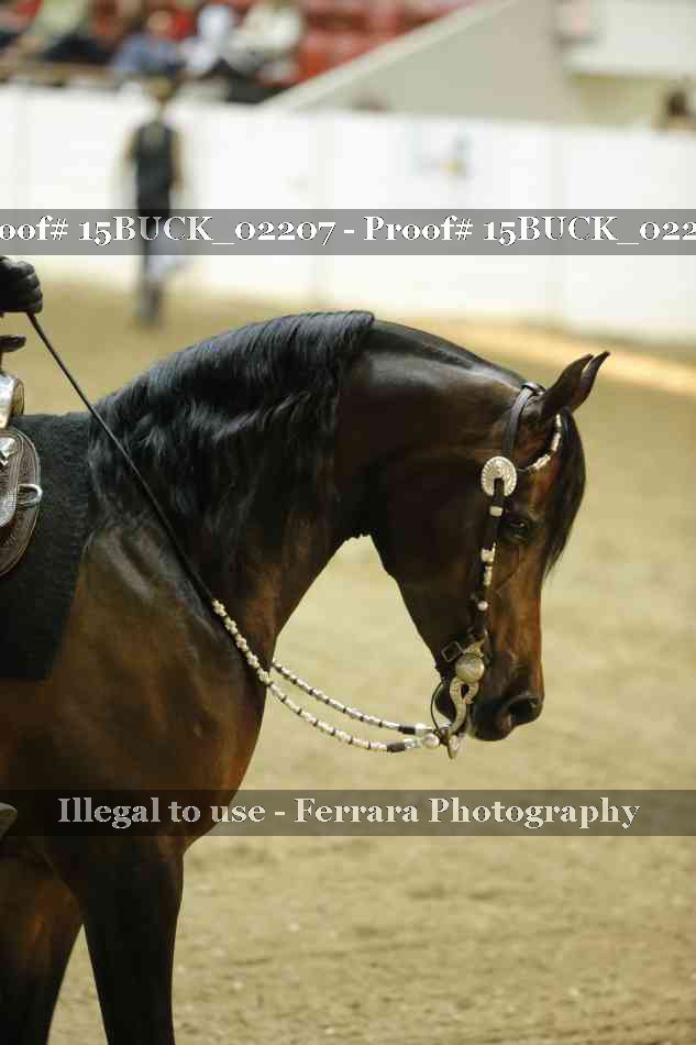 Proof 15BUCK_02207
