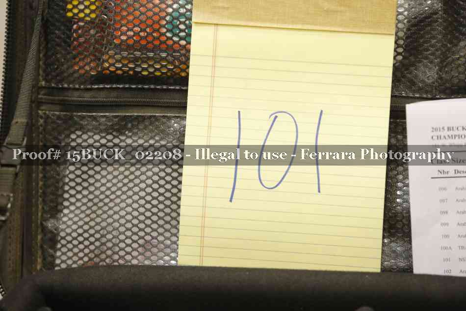 Proof 15BUCK_02208