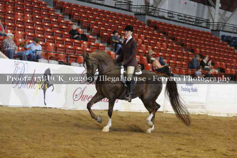 Proof 15BUCK_02209