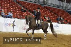 15BUCK_02209 proof