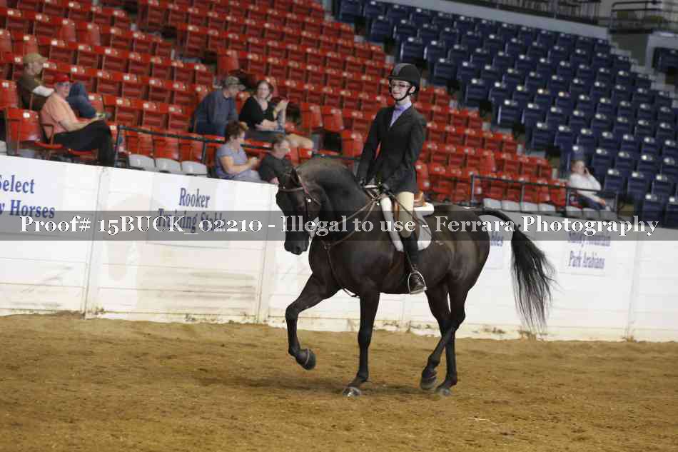 Proof 15BUCK_02210