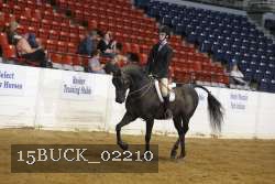 15BUCK_02210 proof