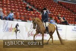 15BUCK_02211 proof
