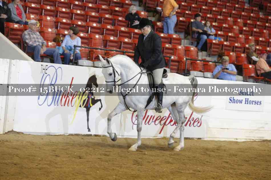 Proof 15BUCK_02212
