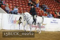 15BUCK_02212 proof
