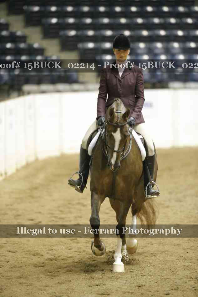 Proof 15BUCK_02214