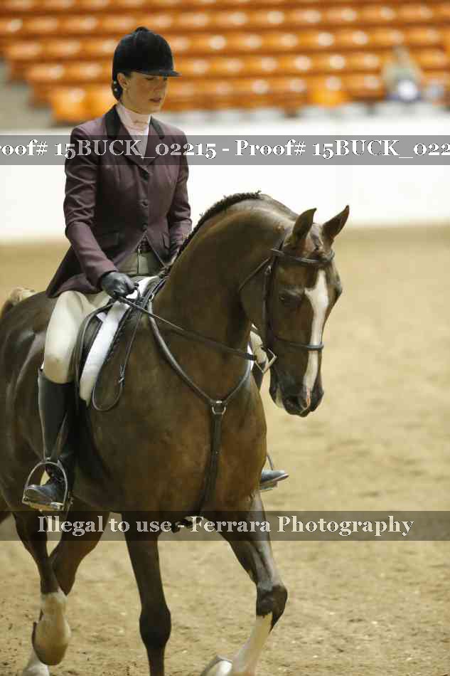 Proof 15BUCK_02215