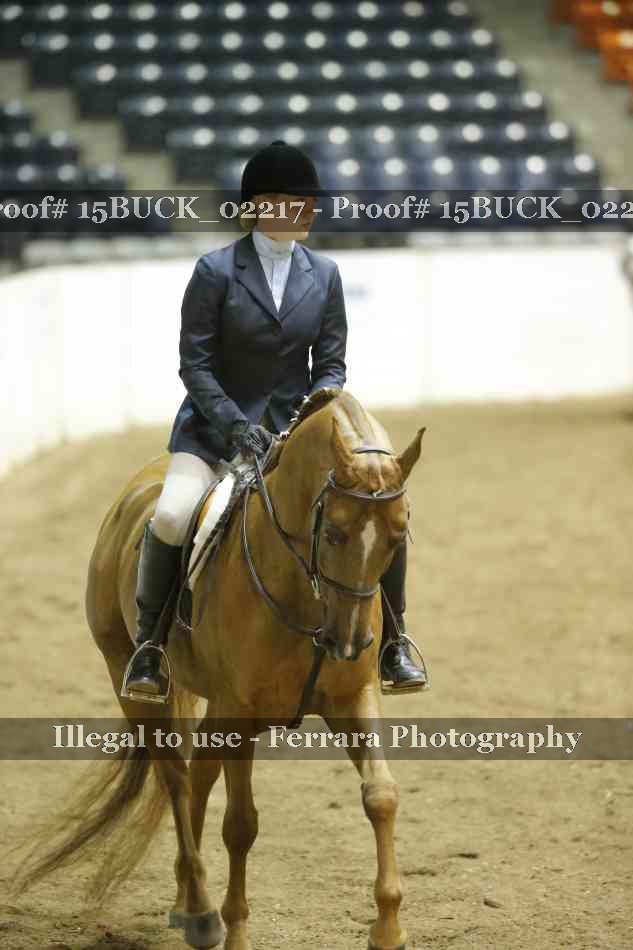 Proof 15BUCK_02217