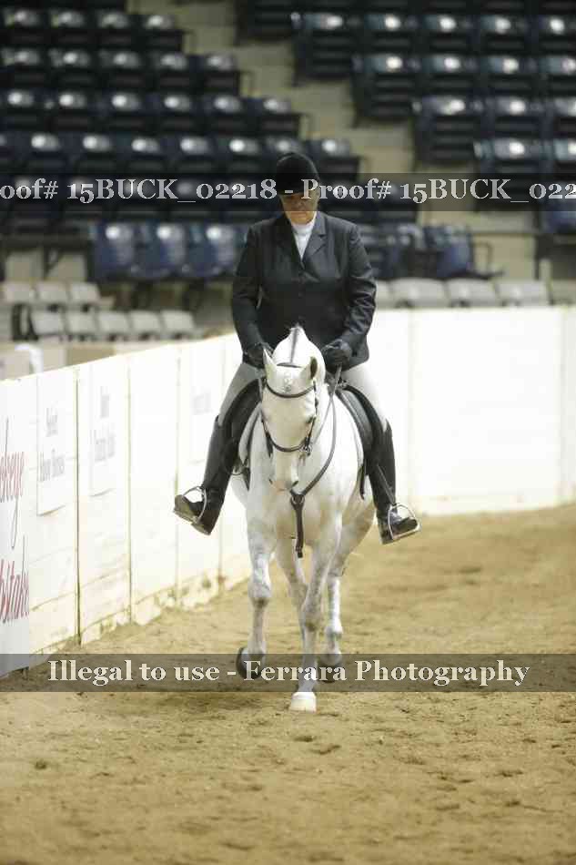 Proof 15BUCK_02218