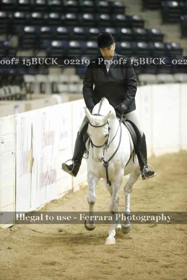 Proof 15BUCK_02219