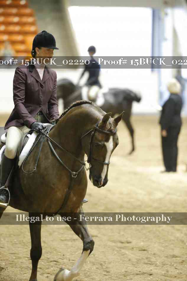 Proof 15BUCK_02220