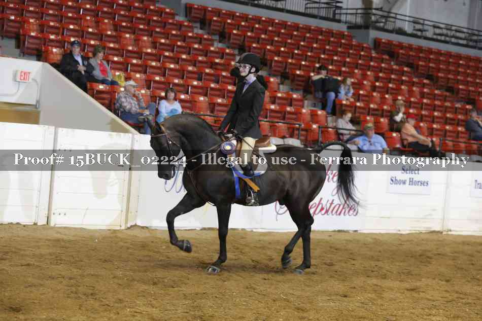 Proof 15BUCK_02224