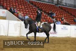 15BUCK_02224 proof