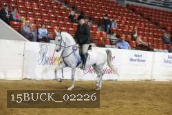 15BUCK_02226 proof